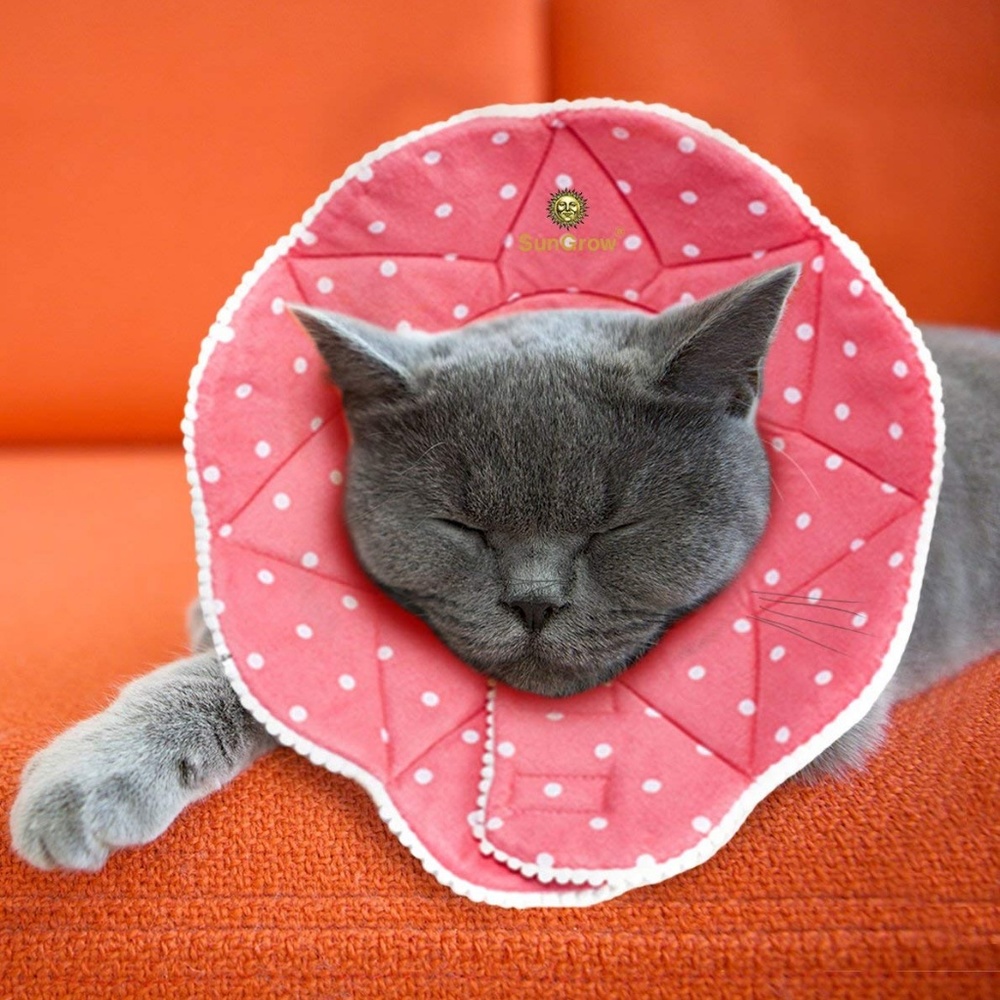 SunGrow Comfy Cone